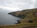 New_Zealand (1084)